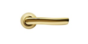 Дверная ручка RUCETTI RAP 3 SG/GP матовое золото/золото